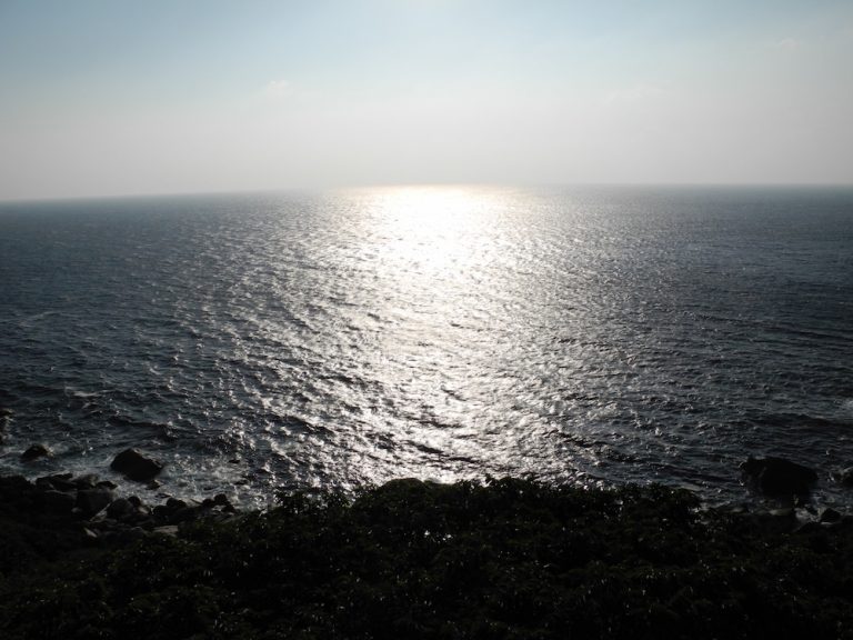 星野社長から学ぶ！洋上風力発電が日本で注目されている理由