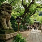 神社本庁とは何か？いまさら聞けない基礎知識ガイド
